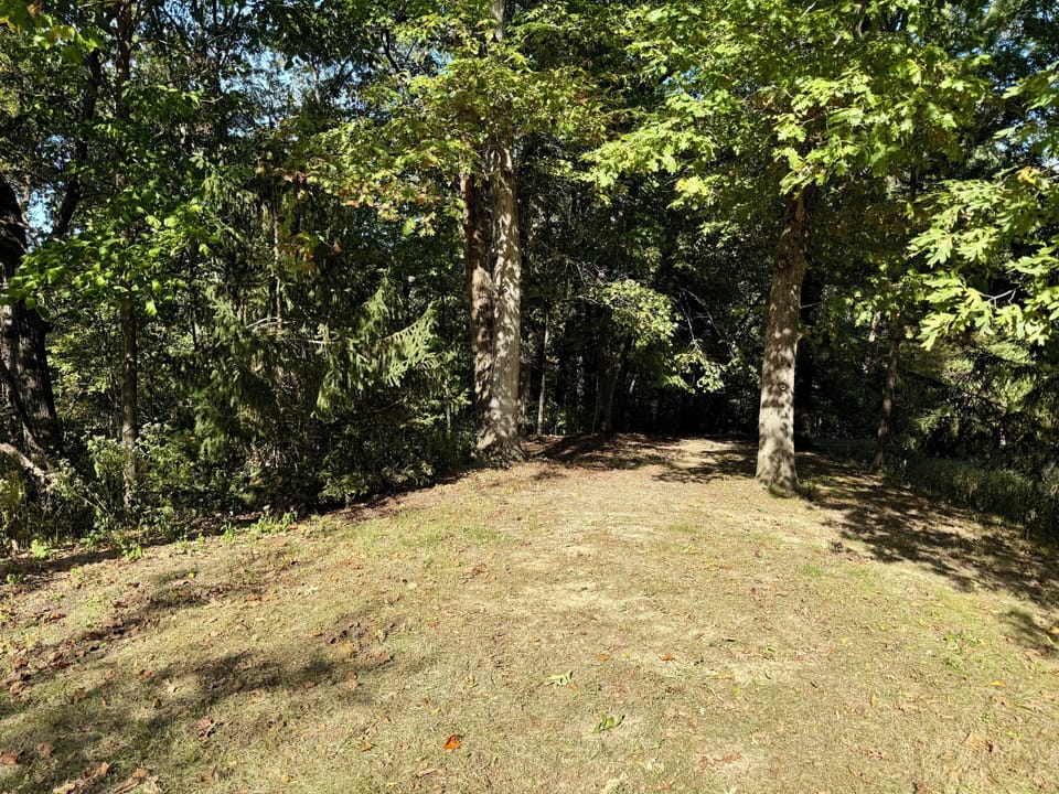 Trails down to case creek.