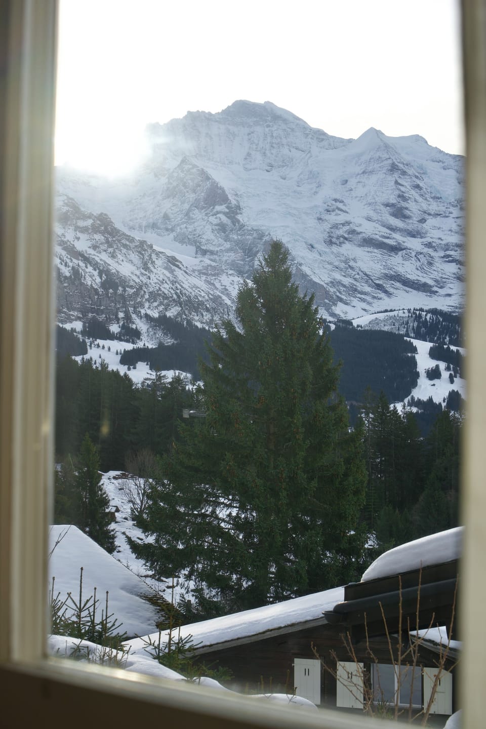 View from property