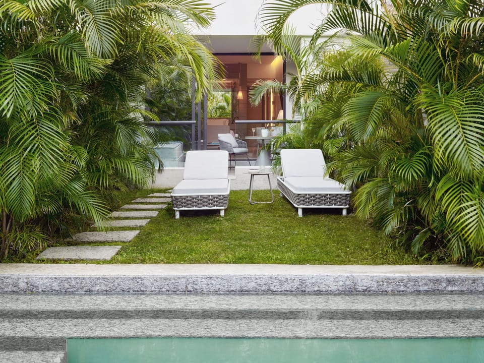 Lounge poolside among lush palms and quiet tropical greenery.