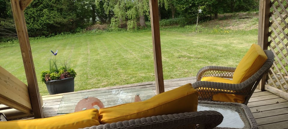 Deck and yard