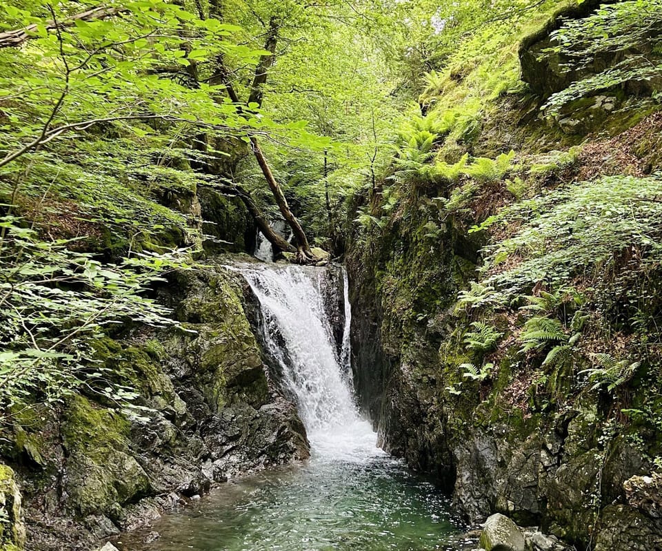 Coppermines Waterfalls
