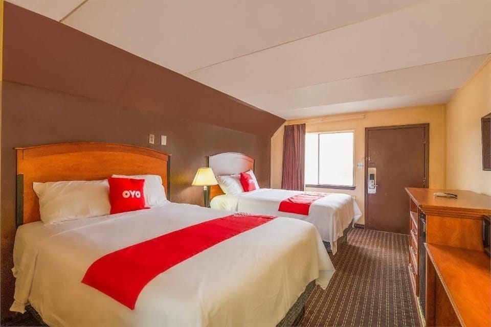 Stretch out in a bright double room with cozy lighting.