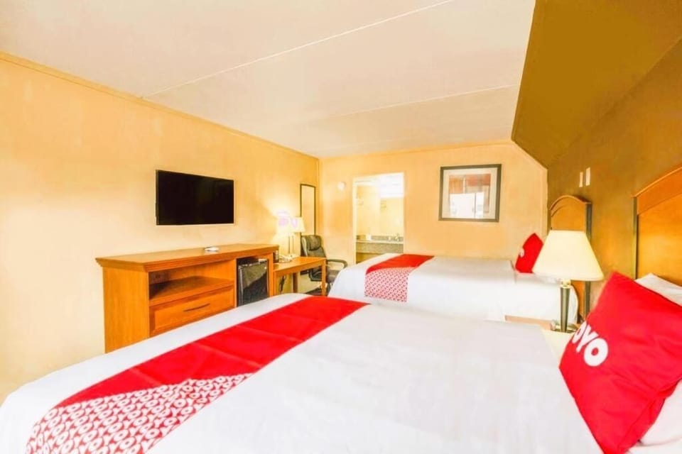 Lounge comfortably with wide beds and entertainment within reach.