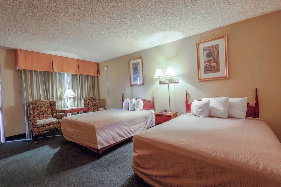 Lounge comfortably with seating corner and softly lit sleeping space.