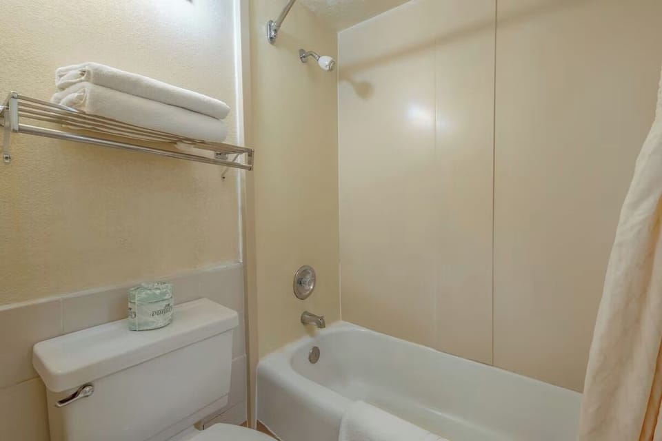Unwind with an easy tub-shower combo after busy days.