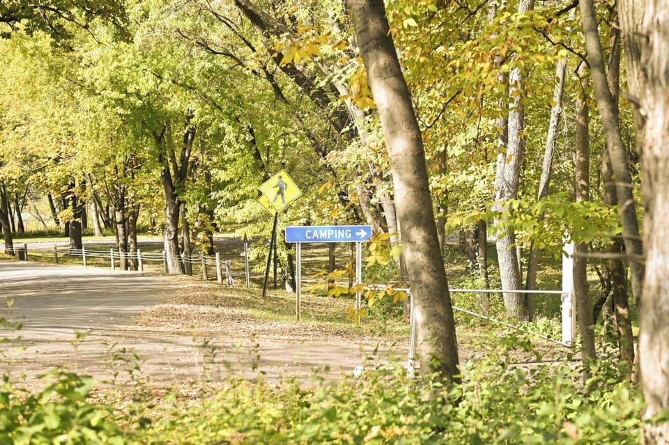 Explore scenic local roads framed by vibrant, leafy surroundings.