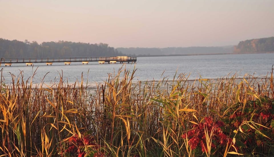 Soak in peaceful lakeside views for a calming escape.