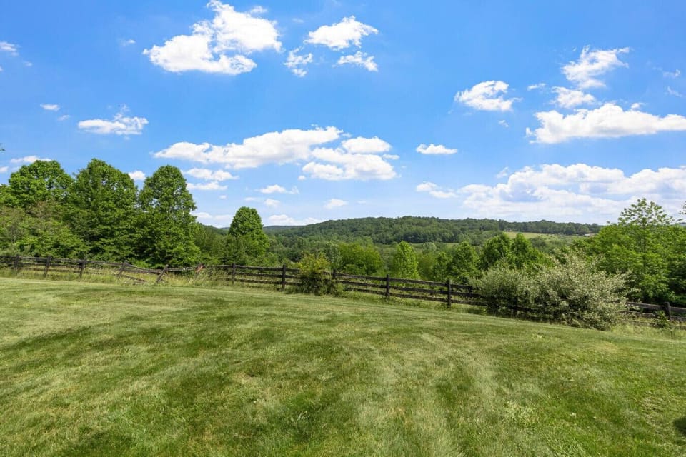 Pasture and fences - yes please!