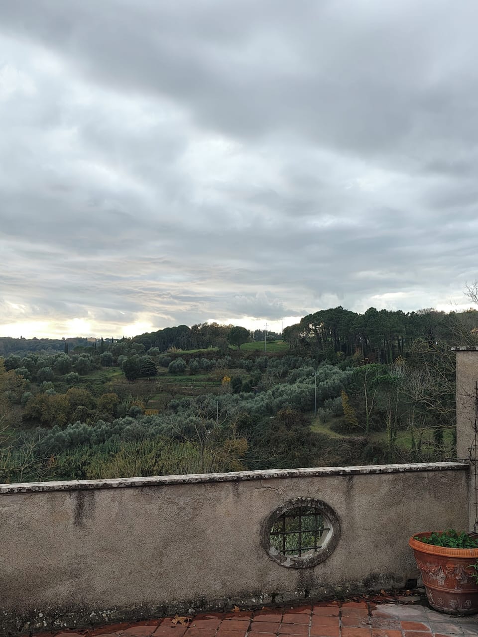 View from property