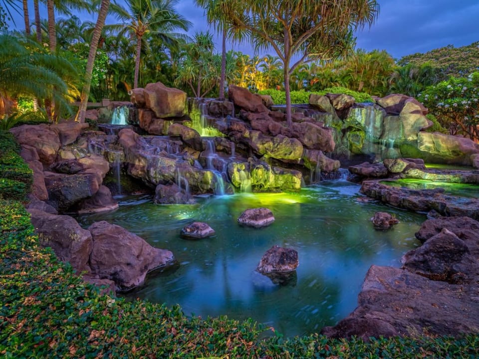 Grounds At Night