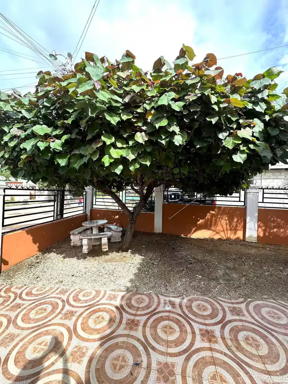 Terrace/patio