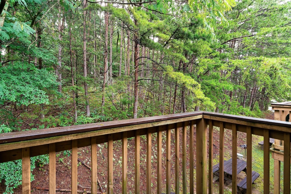 Step out onto your private balcony and breathe in the peaceful Smoky Mountain air.