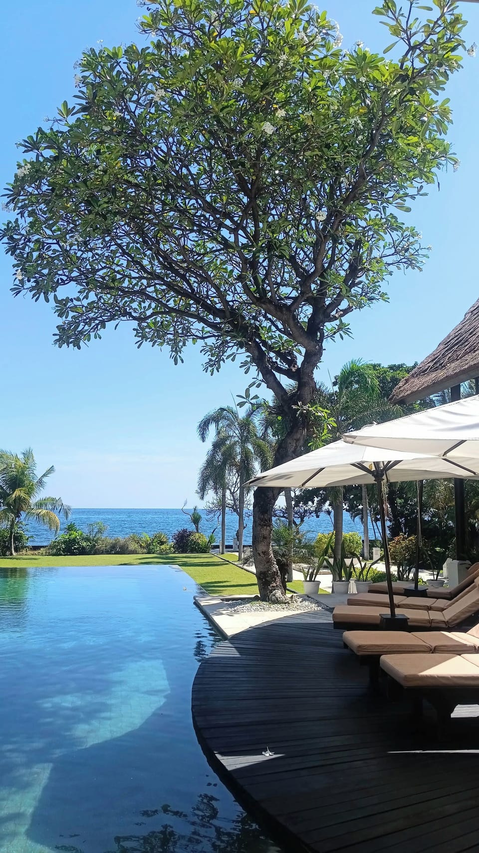 View from the pool
