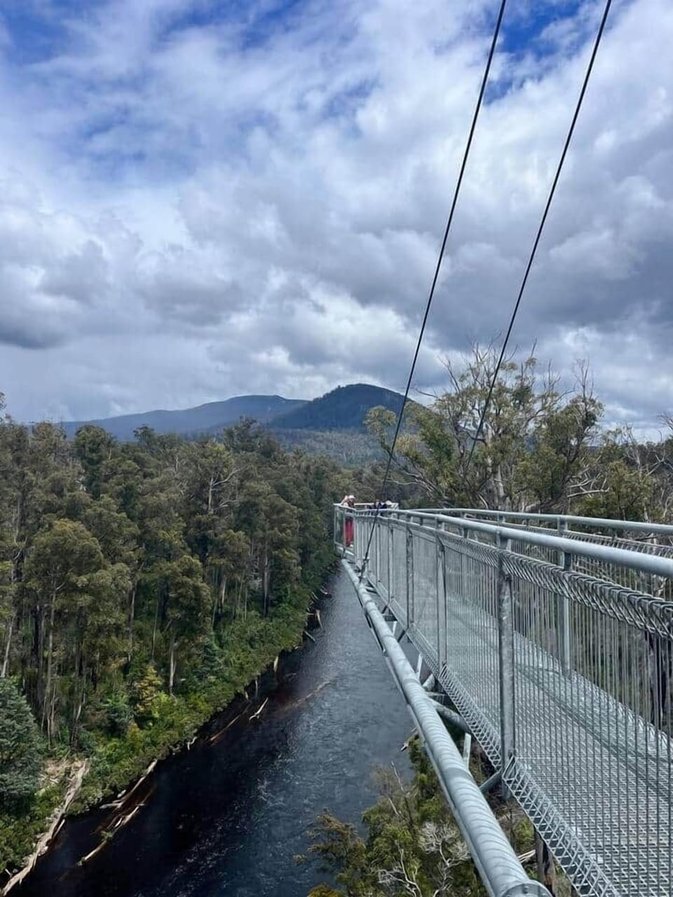 Cantilever bridge at Tahune Airwalk.