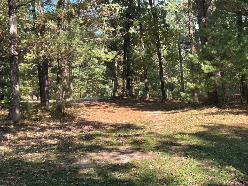 Woods
