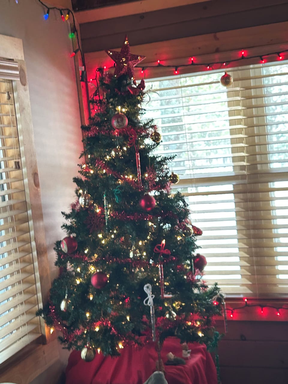 Decorated for Christmas