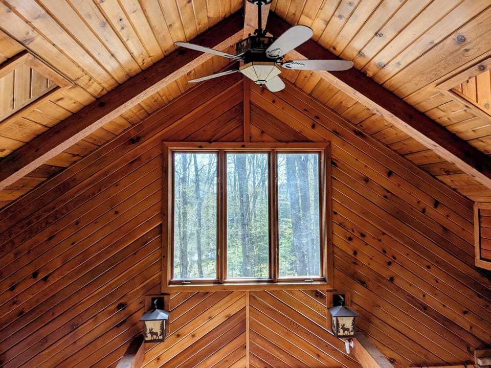 View above of vaulted ceiling and forest above the living room