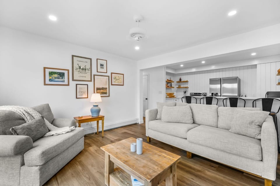 Lower-level living room