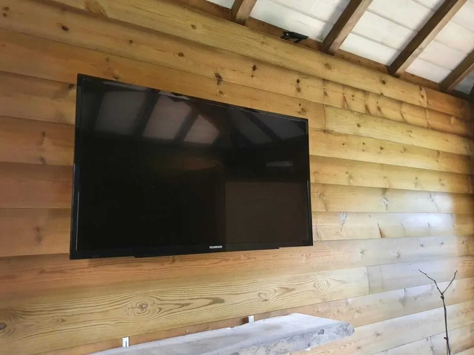 Television