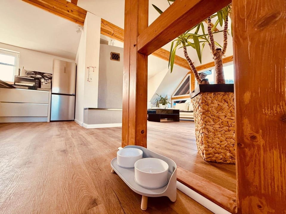 PHOTO-2025-04-05-10-42-39 (21)