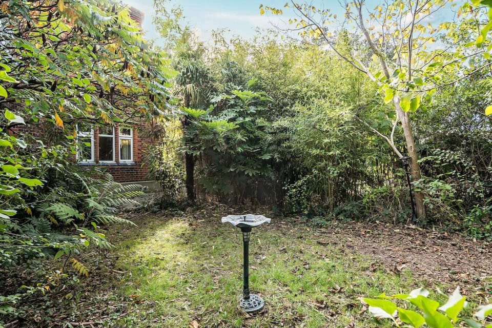 Lush green garden with mature trees and shrubs