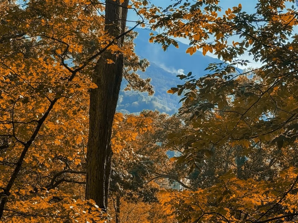 Beautiful mountain views