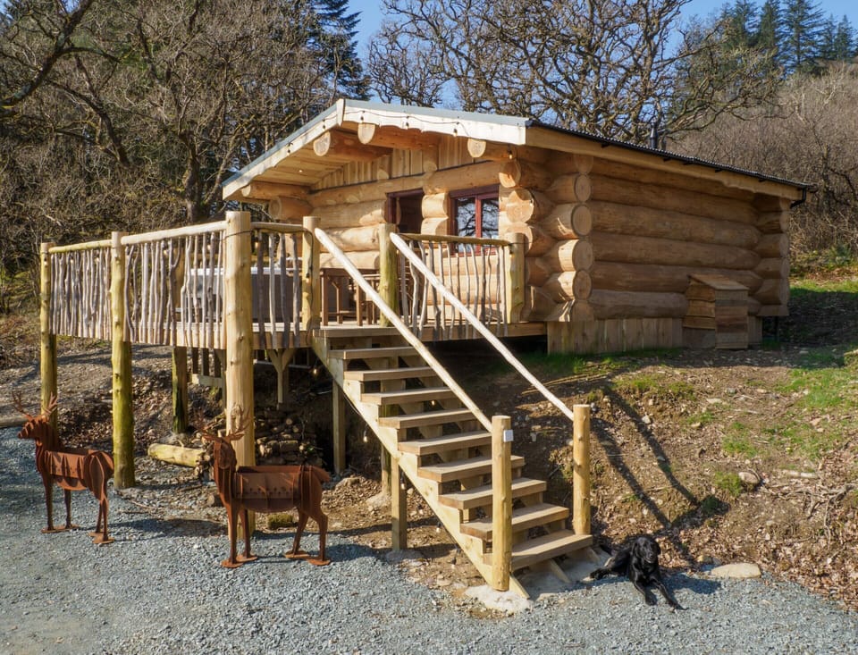 Pine Marten Lodge