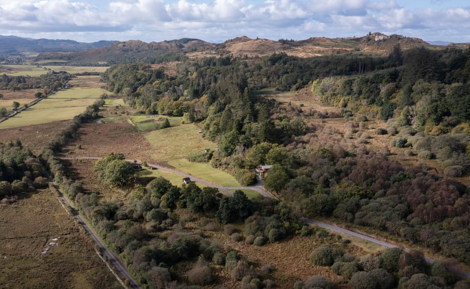 Pine Marten nestled in Kilmichael Glen
