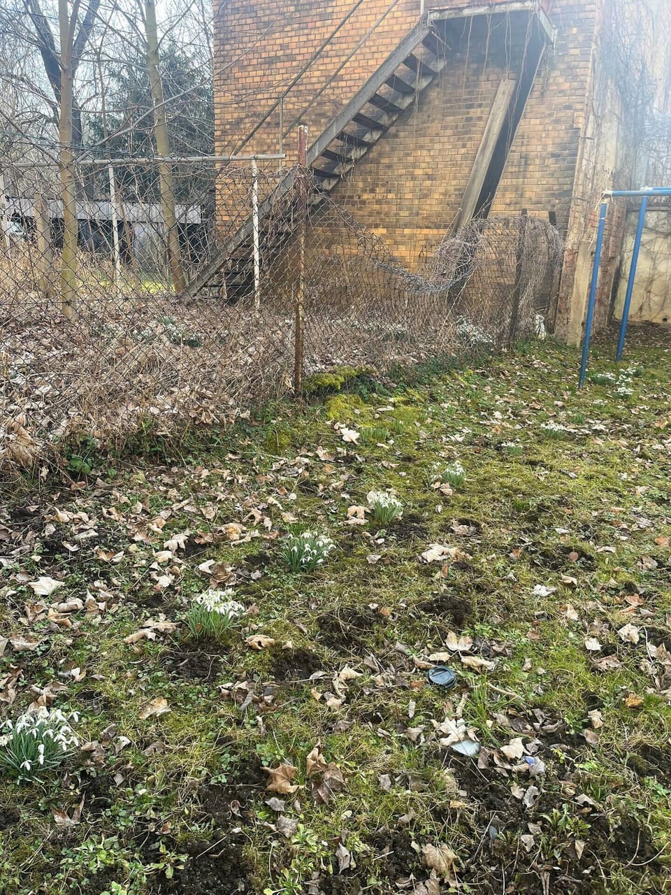 Property grounds