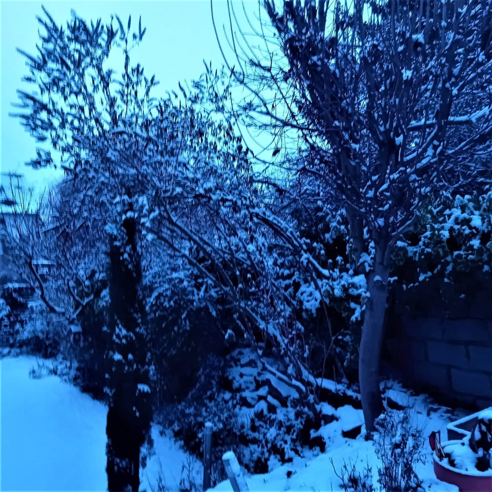 Miscellaneous
