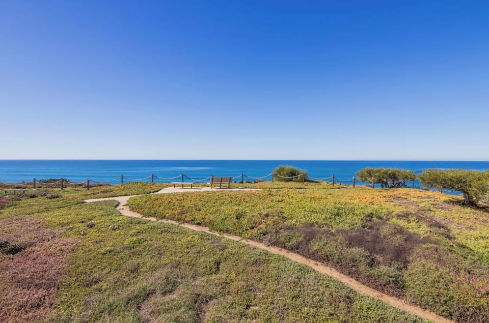 The grounds of the complex right in front of our unit