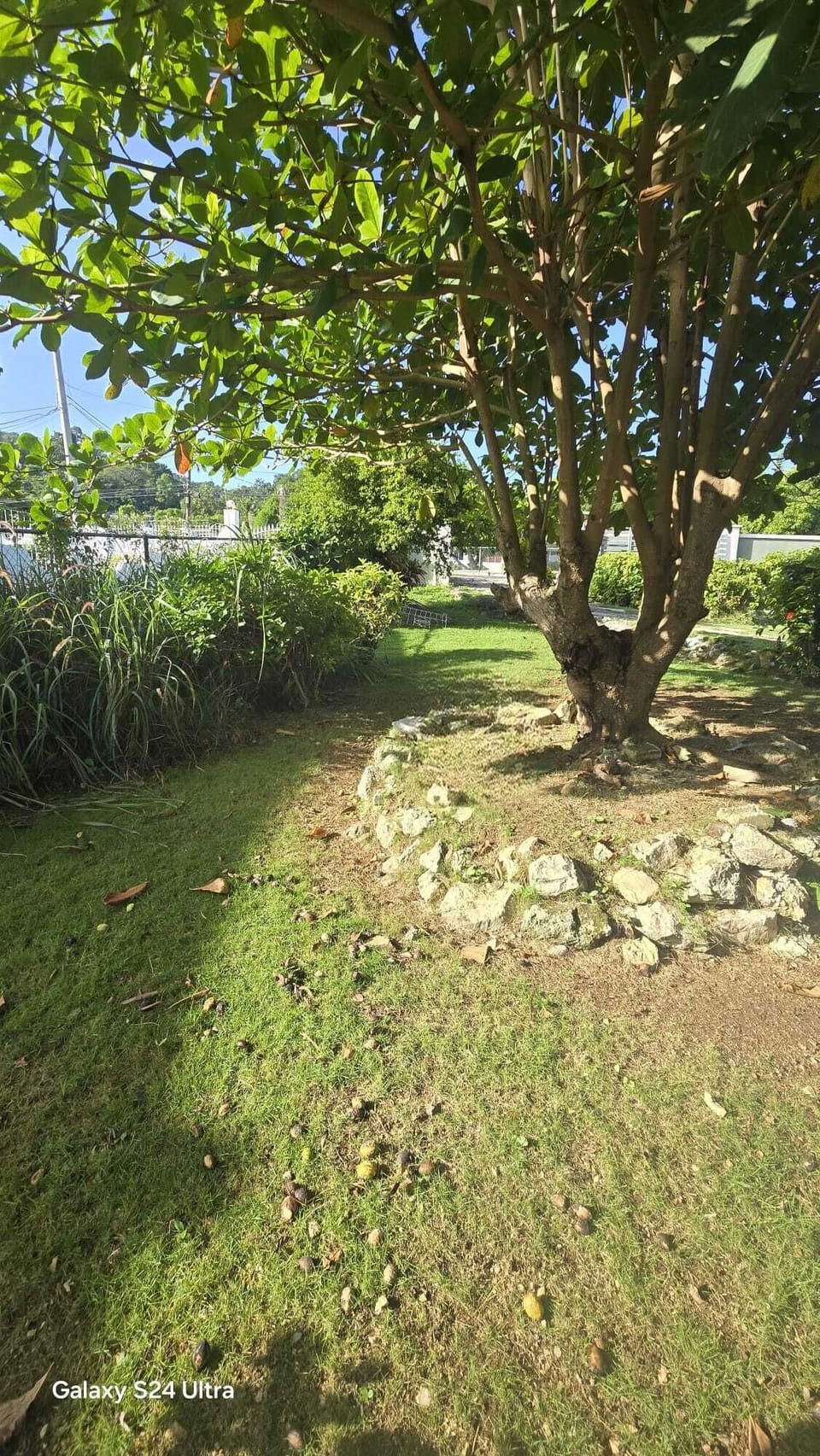 Property grounds