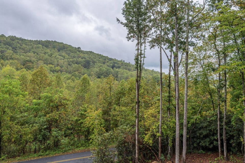 Quiet and peaceful location