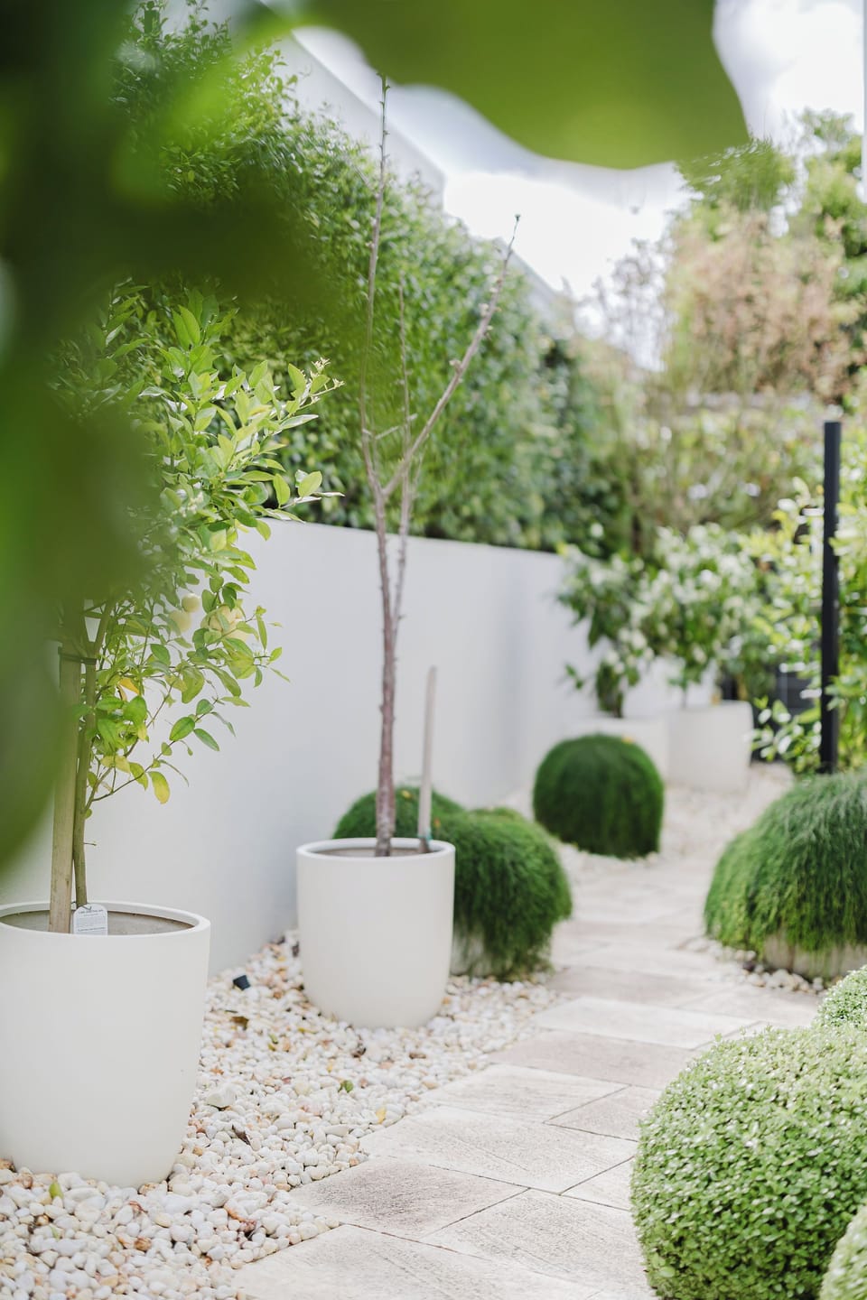 Landscaped walkways bring the outdoors in with style and serenity.