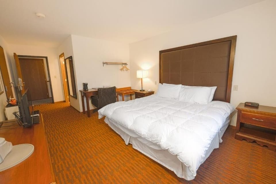 Unwind in a spacious room with cozy bedding and workspace.