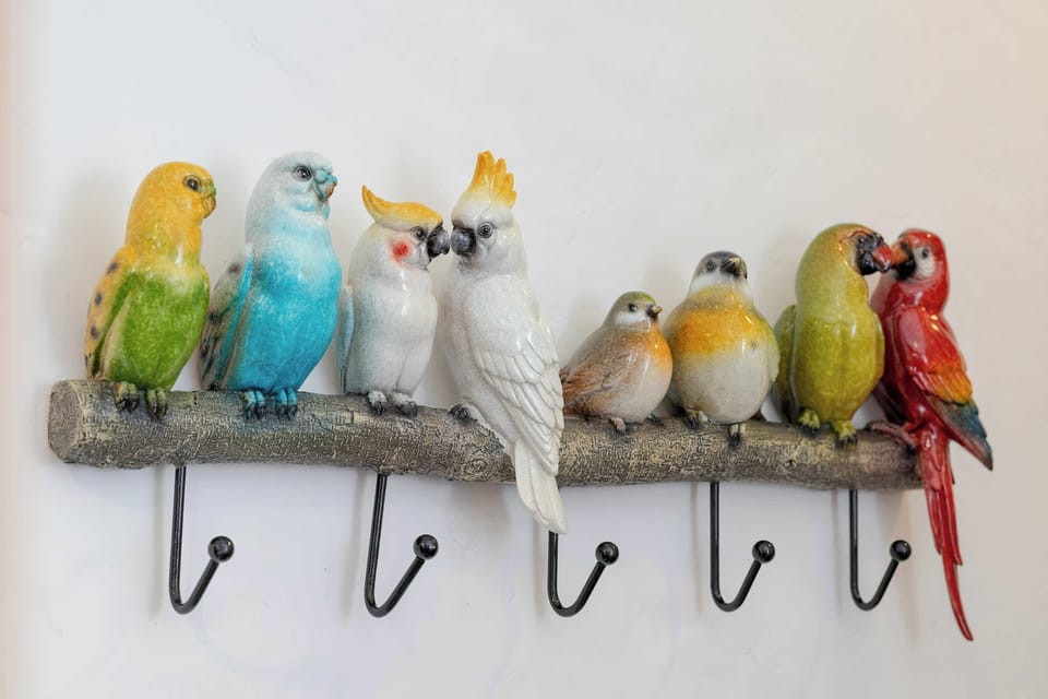 Playful parrot hooks add a cheerful touch to the hallway.