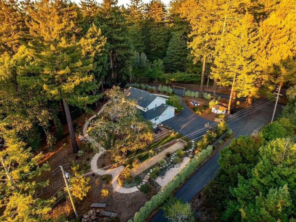 Secluded forest retreat with spacious outdoor living areas