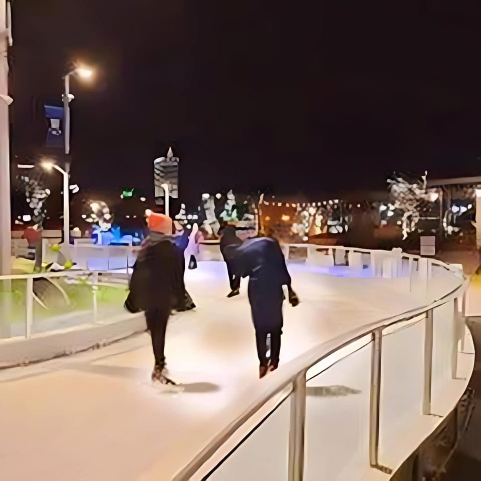 Howard Park Ice Skating Rink