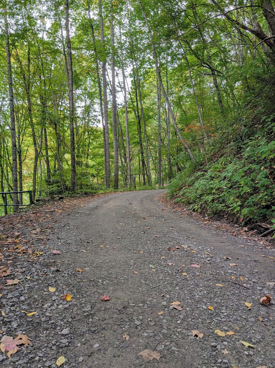 Last segment of the road (350 yards)  (picture taken 10/25/2025)