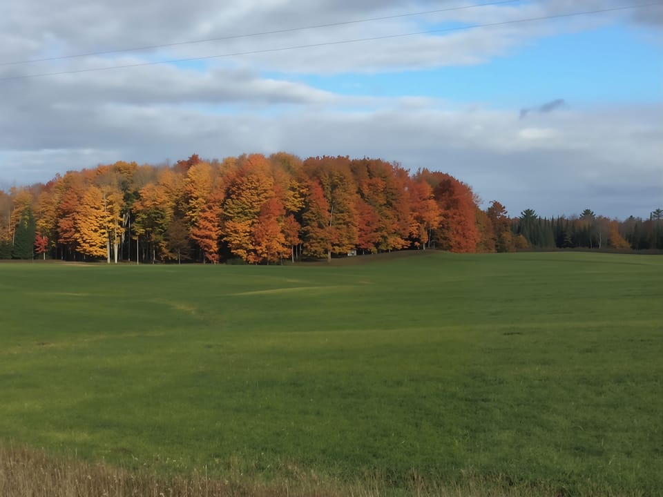 Enjoy the stunning fall colors whether cruising by boat or a shoreline drive