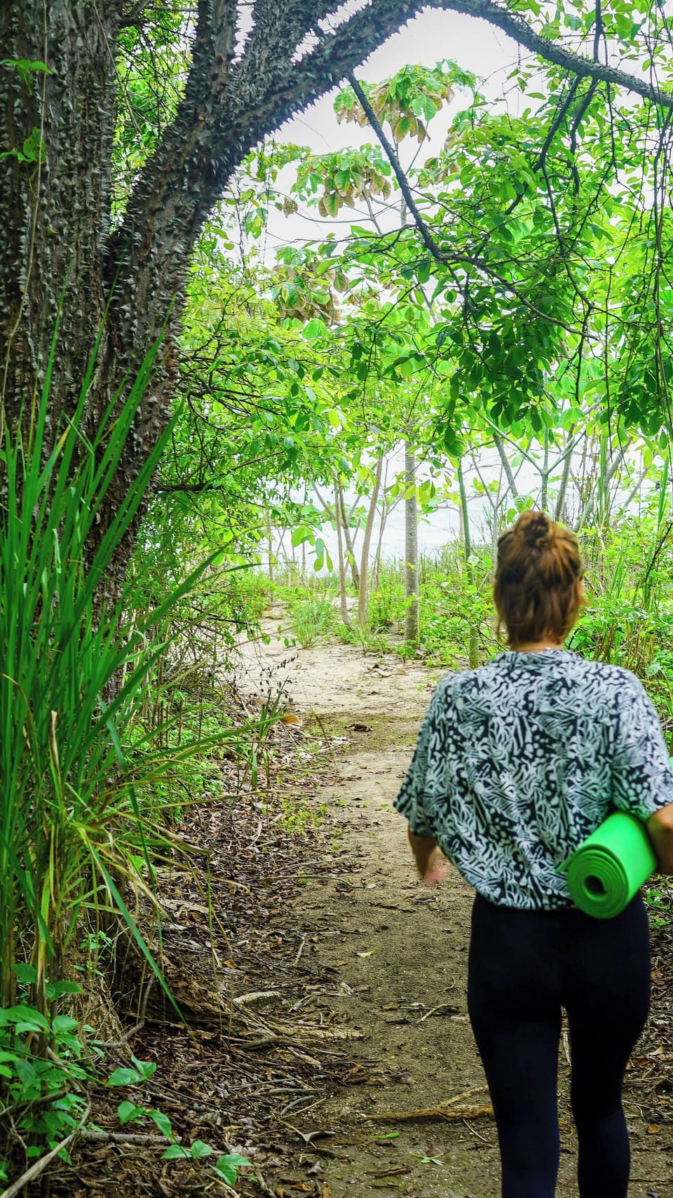 Path to beach