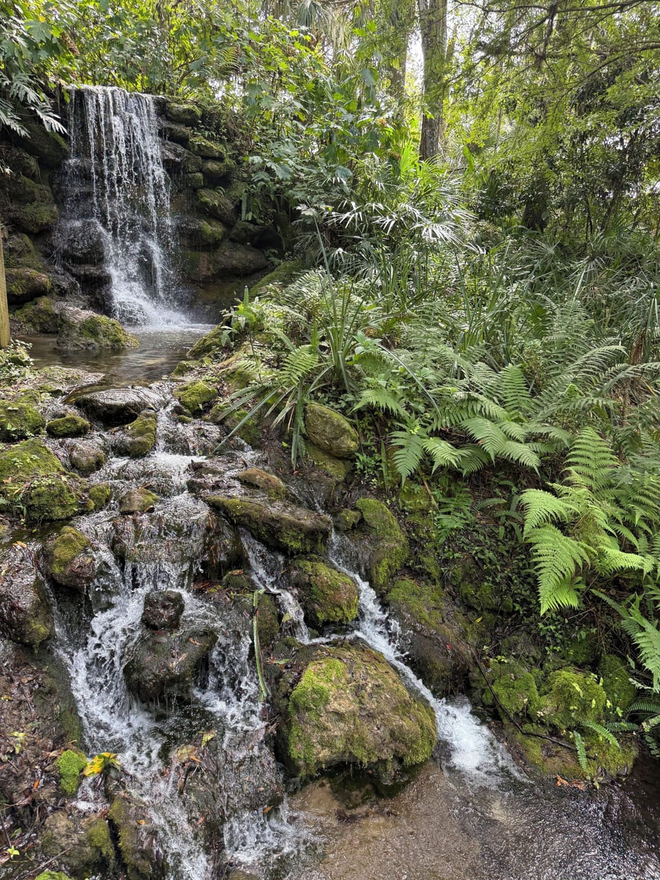 Rainbow Springs State Park