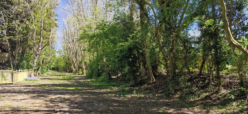 Image 29