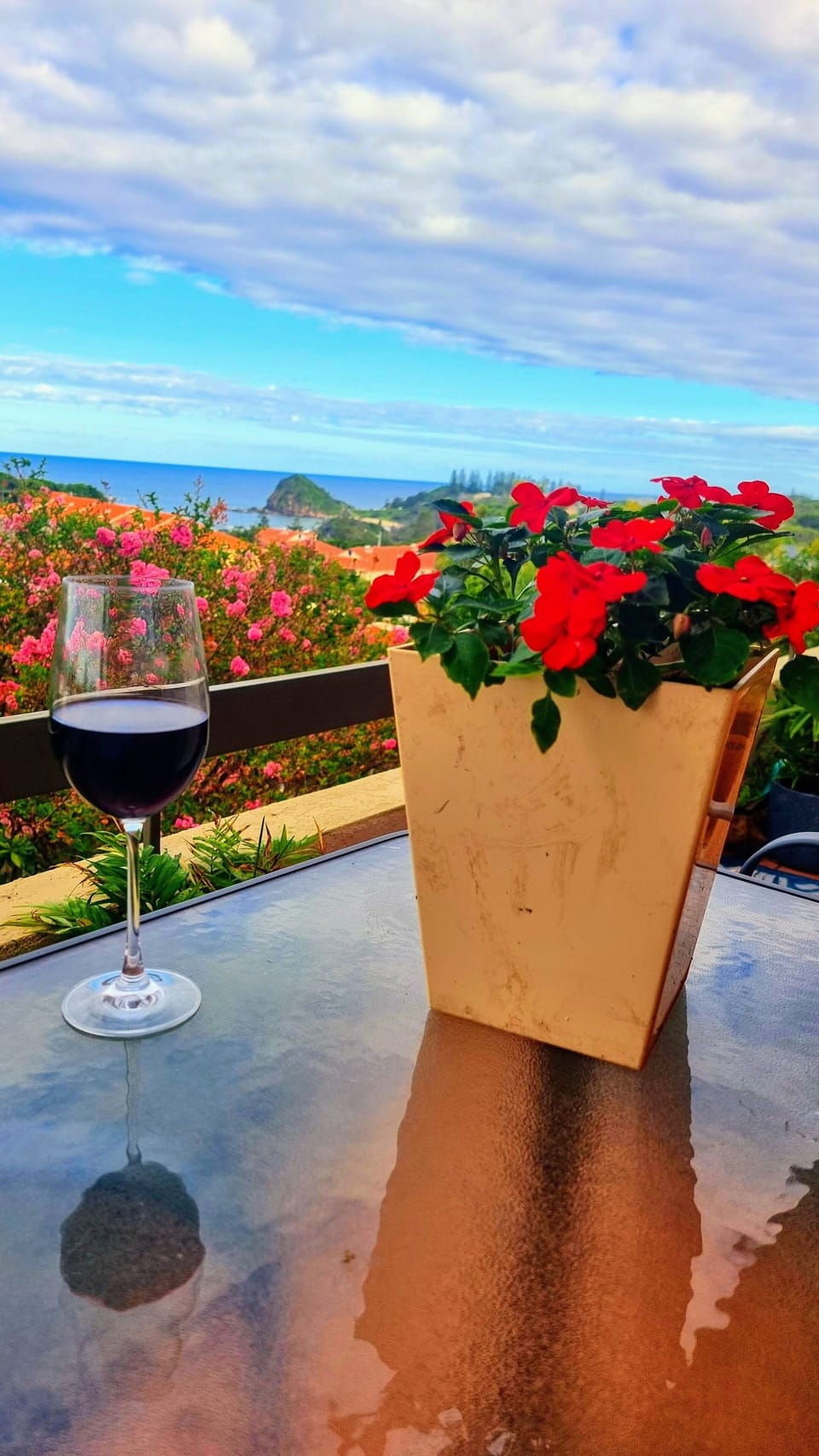 Nothing like a wine to watch teh whales!