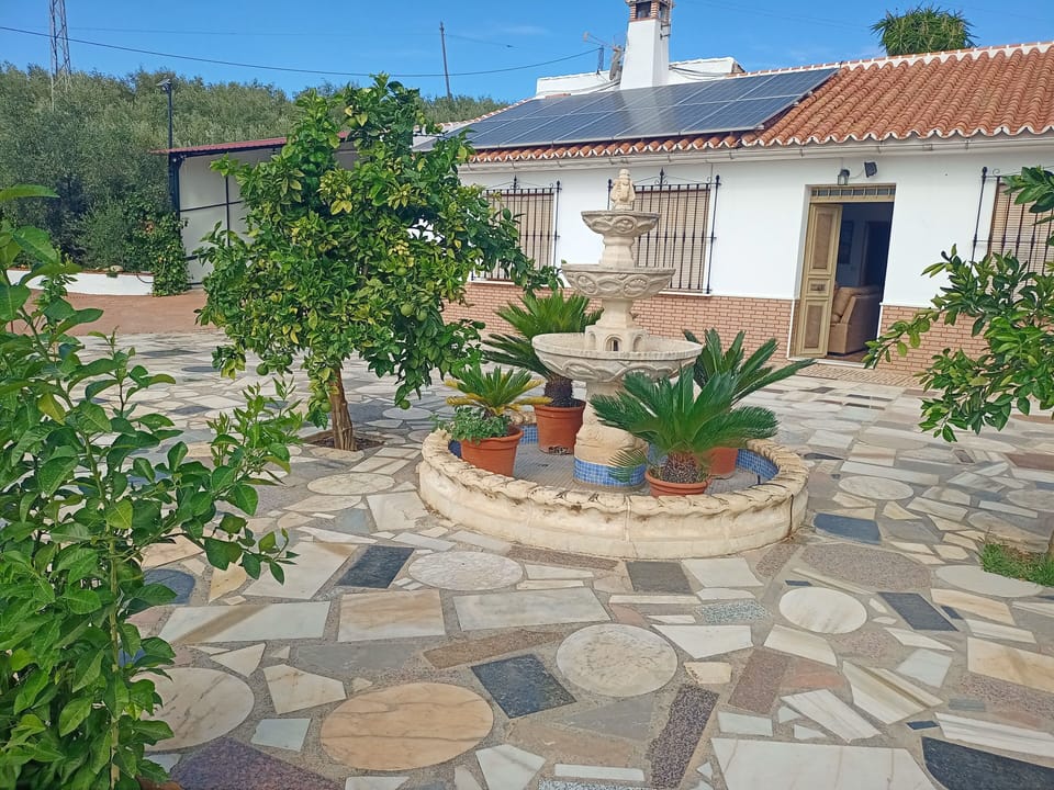 View of the front of  Finca La Casilla, including the fountain, plants & trees.