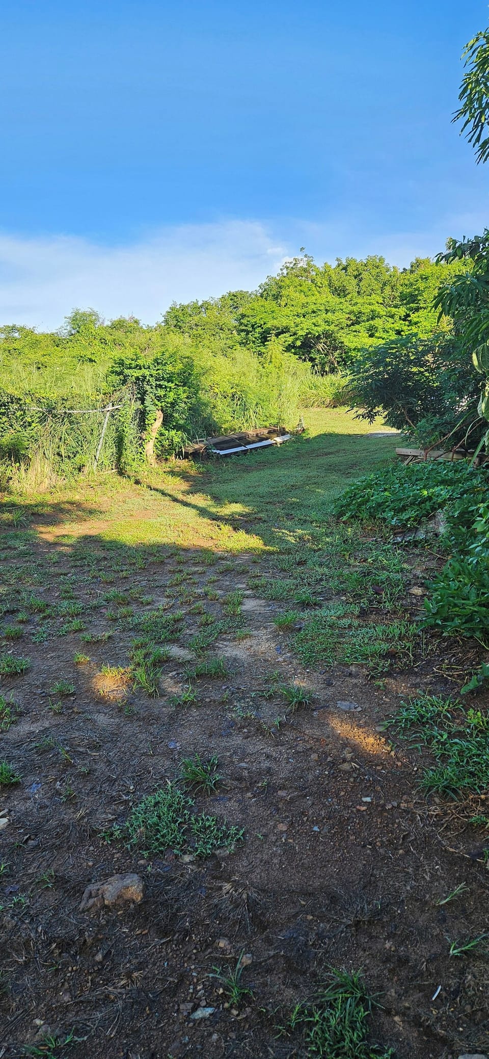 Property grounds