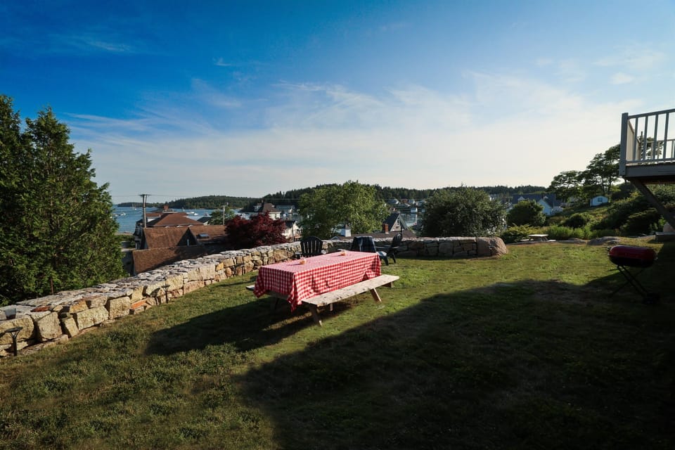 Lawn area 