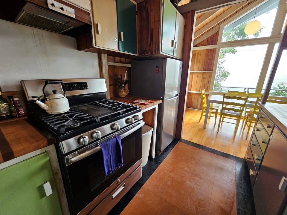 Gas range stove