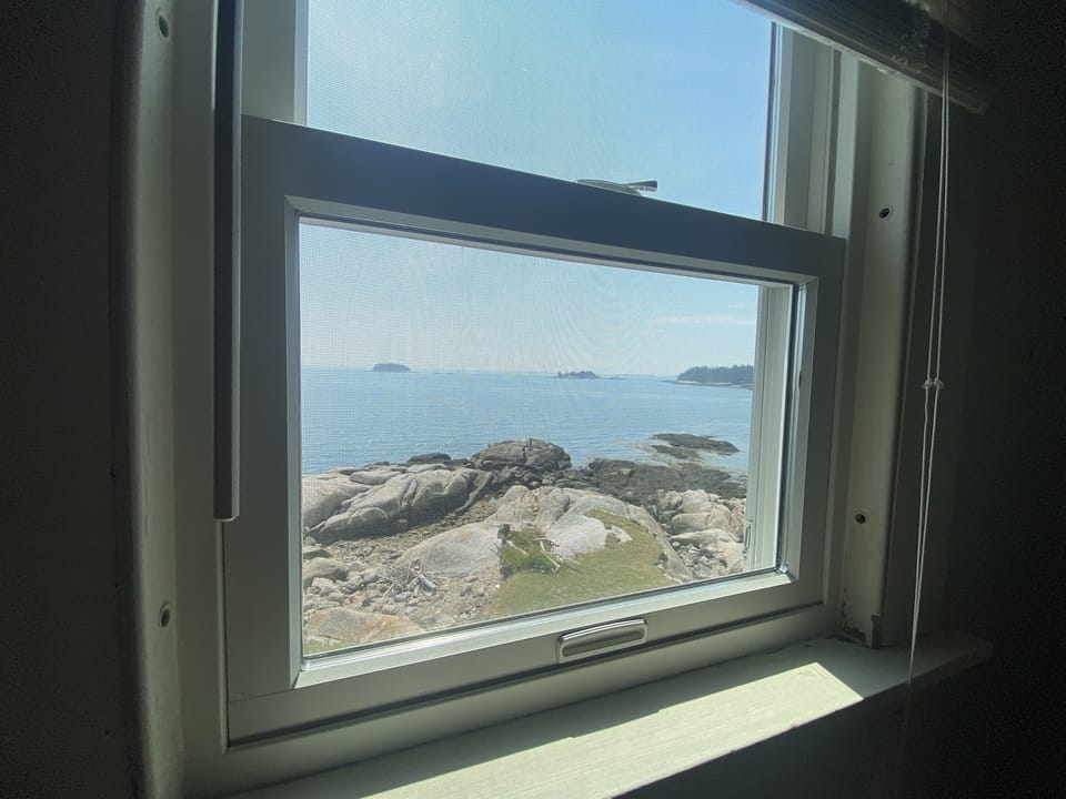 Window Views