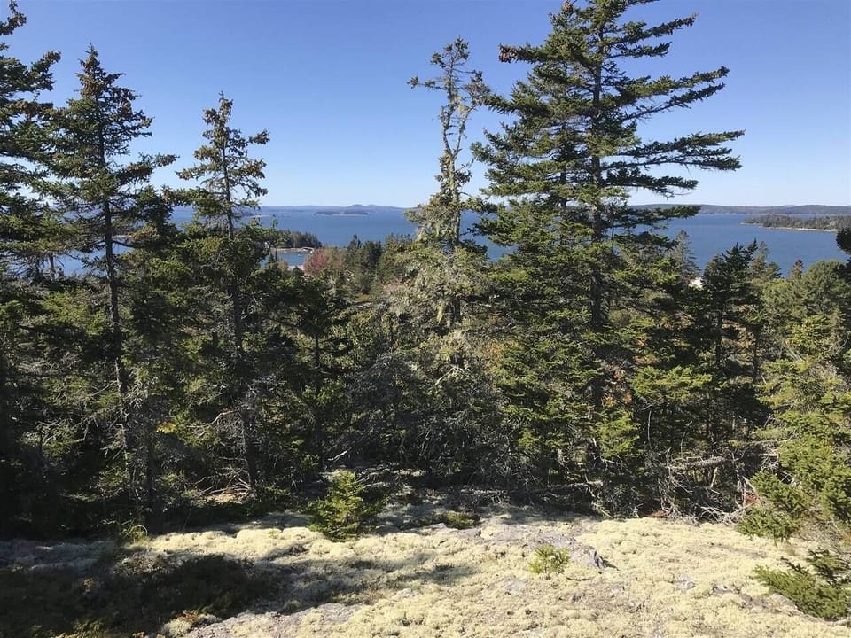 Mountain Top Views of Swains Cove and Penobscot Bay